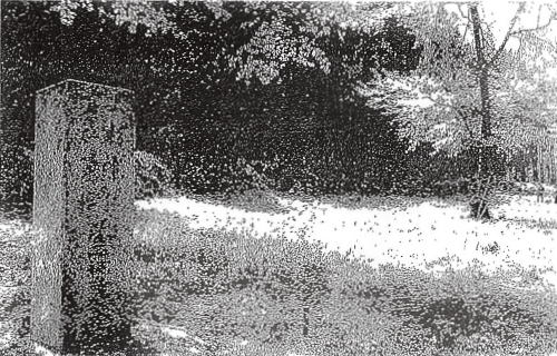 御館跡に立つ「上杉景勝・直江兼続生誕之地」の石碑